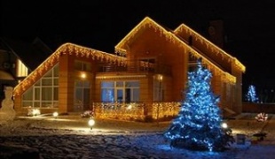 Успей украсить свой дом до 25 декабря!